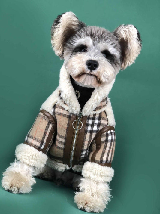 CozyCanine Winterwear – Luxuriously Thickened Comfort for Chilly Days